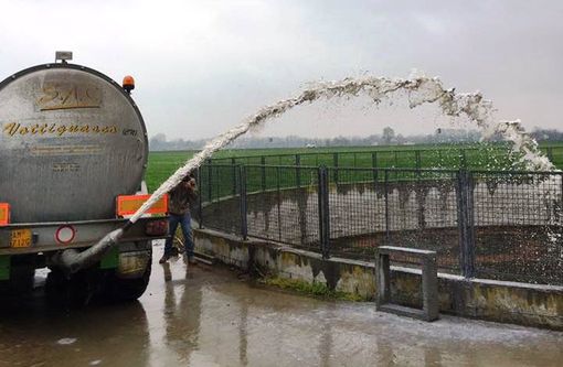 Il sindaco di Saluzzo al fianco degli imprenditori agricoli che non sanno più a chi vendere il latte prodotto