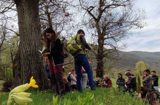 Domani e domenica a Festiona con Meran si raccolgono erbe, scoprendo le tipicità del territorio