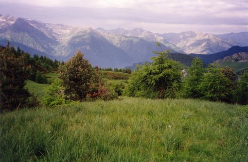 La Comunità Montana Valli Grana e Maira a sostegno delle attività delle squadre forestali regionali