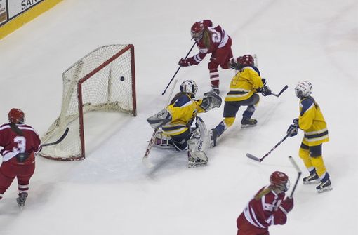 Torino Bulls: ecco la serie A femminile di Hockey su ghiaccio