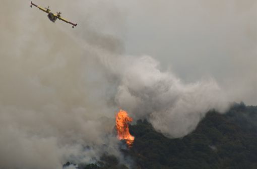 (foto diego bertorello) (foto diego bertorello)