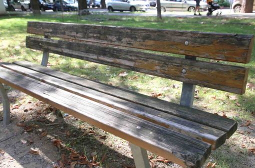 "La mia cagnetta intossicata dall’hashish dopo una sgambata al Parco della Resistenza"