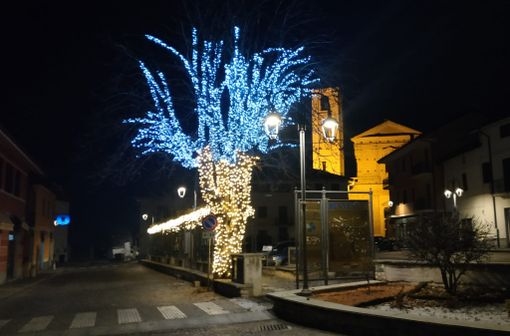 L'albero in piazza Umberto I L'albero in piazza Umberto I