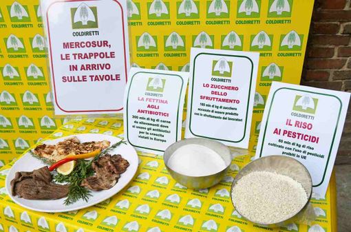 Mercosur, Coldiretti Cuneo: "Miglioramenti insufficienti, ora la Von der Leyen dia risposte" Mercosur, Coldiretti Cuneo: "Miglioramenti insufficienti, ora la Von der Leyen dia risposte"