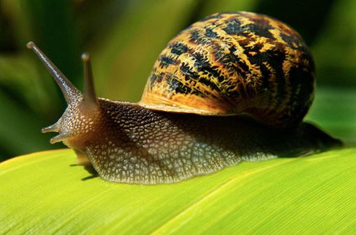 Immagine di repertorio