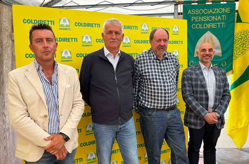 Nada, Ficetti, Barone e Porcu Nada, Ficetti, Barone e Porcu