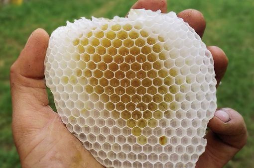 Immagine di repertorio