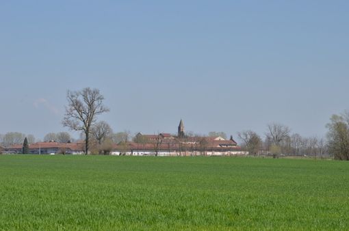 Agricoltura sostenibile e valorizzazione: avviato un bando per la gestione di Cascina Pascolo Inferiore a Staffarda
