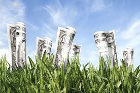 IMU Agricola: Vincenzo Colucci risponde a Mino Taricco IMU Agricola: Vincenzo Colucci risponde a Mino Taricco