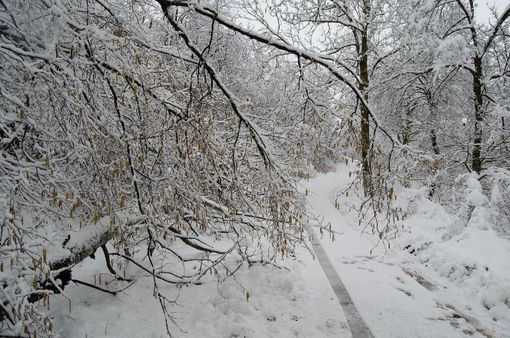 Ancora maltempo fino a martedì, poi sarà sereno fino alla prossima settimana