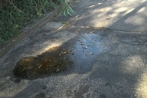 Immagine di repertorio Immagine di repertorio