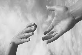 "Se lo stato non aiuta Daniela, facciamolo noi" "Se lo stato non aiuta Daniela, facciamolo noi"