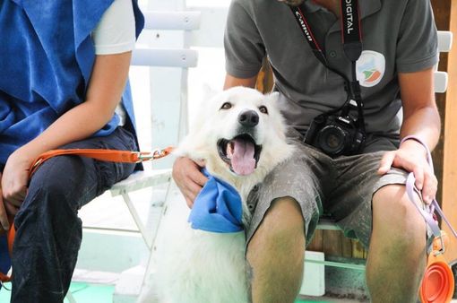 La pet therapy nelle case di riposo del Monregalese grazie a un service Inner Wheel