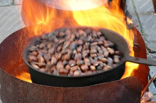 Salta la castagnata nella scuola di Brossasco, la Pro loco: "La dirigente non ci ha risposto" Salta la castagnata nella scuola di Brossasco, la Pro loco: "La dirigente non ci ha risposto"