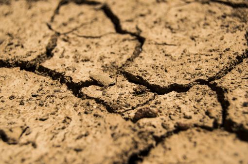 Siccità, Confagricoltura Piemonte: “Servono subito strumenti per sostenere le imprese agricole” Siccità, Confagricoltura Piemonte: “Servono subito strumenti per sostenere le imprese agricole”