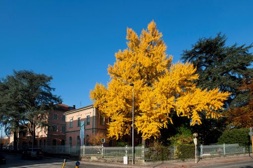 Presente e passato da festeggiare con lo sguardo al futuro per l'istituto enologico Umberto I di Alba