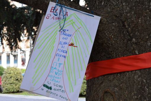 Cedri di piazza Europa a Cuneo, i volontari: "Con noi la società civile si è alzata in piedi"