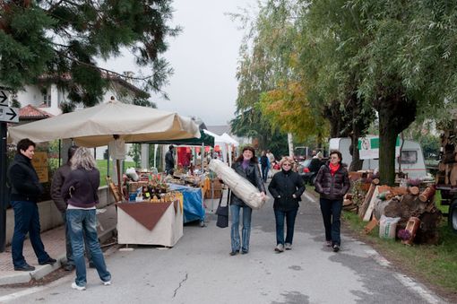 Immagine di repertorio Immagine di repertorio