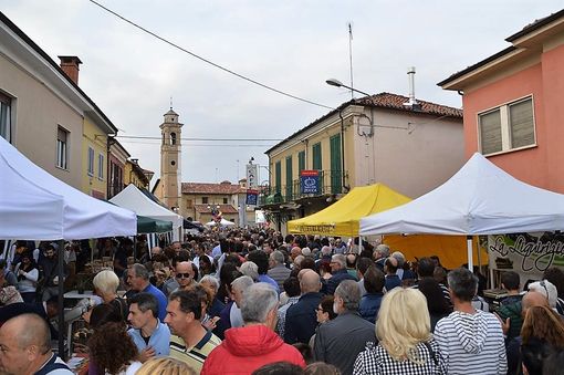 Fiera regionale della zucca di Piozzo: stimati danni per 225 euro