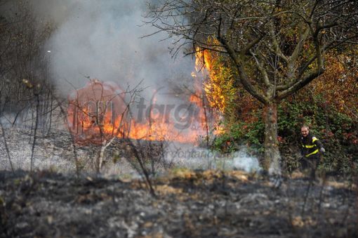 Foto Nicolò Bertola Foto Nicolò Bertola