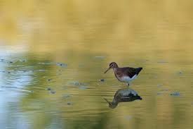 Cuneo: continuano gli incontri del gruppo di Palestra di Vita Territoriale