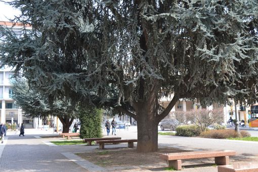 Foto: Simone Giraudi