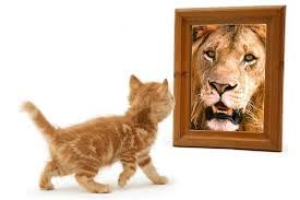 Mondovì, seminario al Centro Ippico Crazy Horse Mondovì, seminario al Centro Ippico Crazy Horse