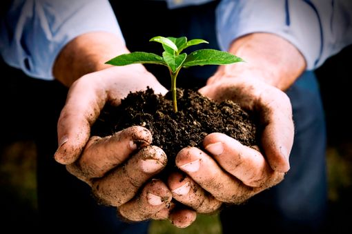 Cortemilia, presentazione della Scuola Rurale della Valle Bormida