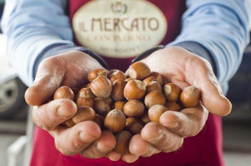 Immagine di repertorio