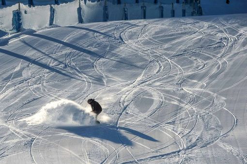 Villanova Mondovì: giornalieri omaggio per gli studenti della scuola secondaria di secondo grado Villanova Mondovì: giornalieri omaggio per gli studenti della scuola secondaria di secondo grado