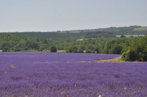 Una precedente gita dell'associazione culturale Camminare in camper di Saluzzo