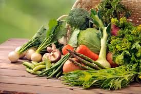 Alba: due orti urbani disponibili in strada Bussoletta – Frazione Mussotto”