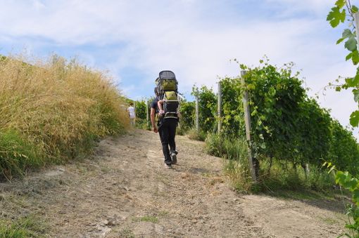 Su e giù per le Langhe passando da un bar all'altro: ecco il percorso per voi