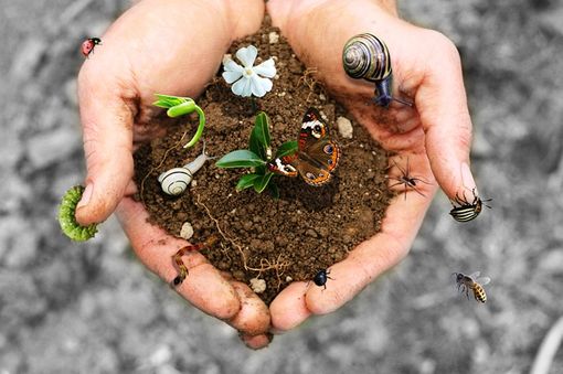 Oggi la giornata del suolo, Coldiretti: "In Granda persa superficie pari a 250 campi da calcio in un anno" Oggi la giornata del suolo, Coldiretti: "In Granda persa superficie pari a 250 campi da calcio in un anno"
