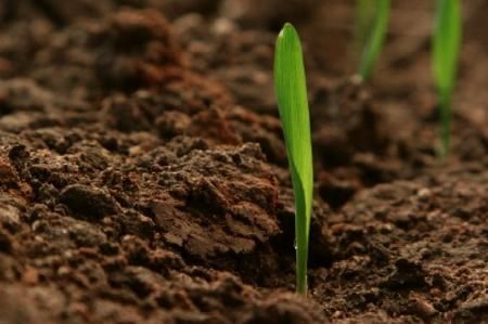 Immagine di repertorio