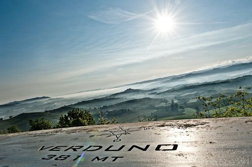 Una splendida immagine delle Langhe, copyright Stefania Spadoni