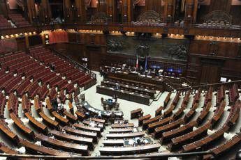 Fine vita, l'appello dei neurologi al Parlamento: "Ora legge equa, chiara e condivisa" Fine vita, l'appello dei neurologi al Parlamento: "Ora legge equa, chiara e condivisa"