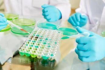 Studi no profit, nasce l'alleanza tra Fondazione Veronesi e Ficog Studi no profit, nasce l'alleanza tra Fondazione Veronesi e Ficog