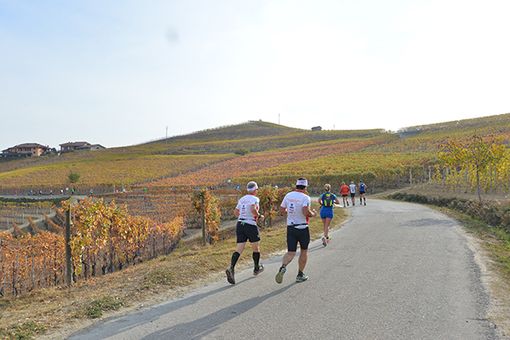 La nona edizione dell'Ecomaratona del Barbaresco e del Tartufo Bianco d'Alba si svolgerà il 28 ottobre