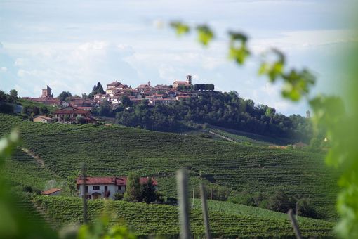 Una veduta di Verduno