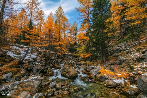 Foto di Valerio Minato