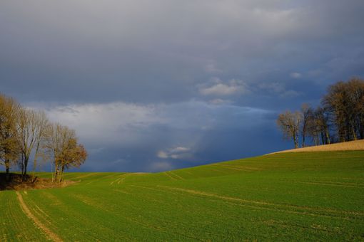 Foto di Karl Egger da Pixabay Foto di Karl Egger da Pixabay