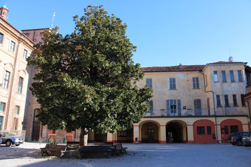 Il Polo Civico Bra Domani contro la chiusura del parcheggio della scuola primaria Rita Levi Montalcini