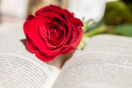 Il 23 aprile il Caffè Letterario di Bra celebra la Giornata mondiale del libro… e delle rose Il 23 aprile il Caffè Letterario di Bra celebra la Giornata mondiale del libro… e delle rose