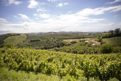 Panorama dell'Alta Langa (Ph. Can't Forget Italy - Archivio Ente Turismo LMR)