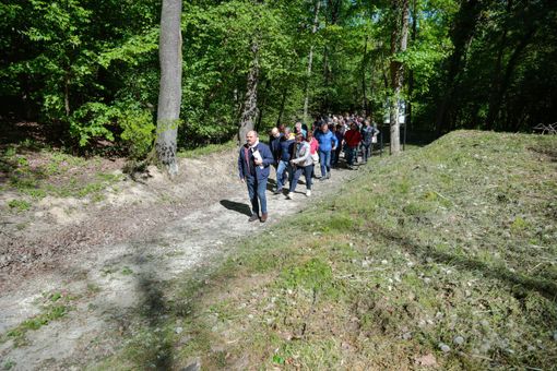 Nel Bosco dei Pensieri a Serralunga d'Alba tutto pronto per il 25 aprile (Immagine d'archivio foto di Cocchi Ballaira)