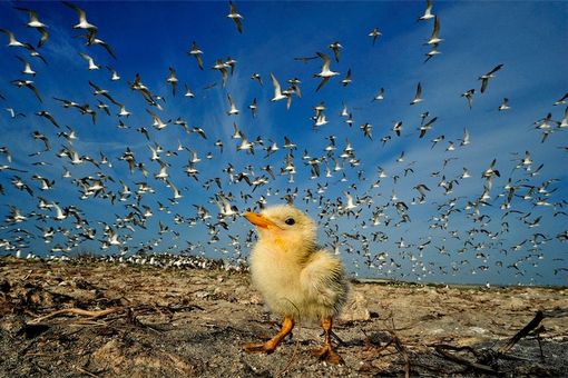 Natura protagonista all'Oasis Photocontest Roero (foto d'archivio Oasis)