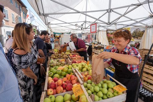 Mercato della Terra a Bra: esempio di buon mangiare e giusta spesa Mercato della Terra a Bra: esempio di buon mangiare e giusta spesa