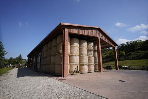 Prefabbricati Guerrini, un’azienda sempre più innovativa all’inserimento ambientale delle proprie realizzazioni per il settore agricolo FOTO