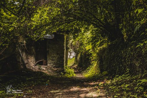 "Uomini e borgate" Ph_Oberto "Uomini e borgate" Ph_Oberto